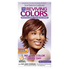 Dark & Lovely Reviving Colors - Spiced Auburn 393